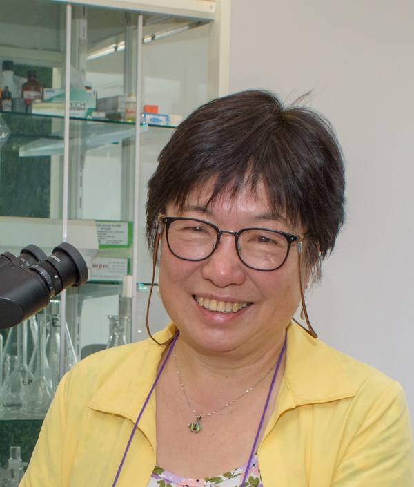 Picture of Dr Limei Zhang